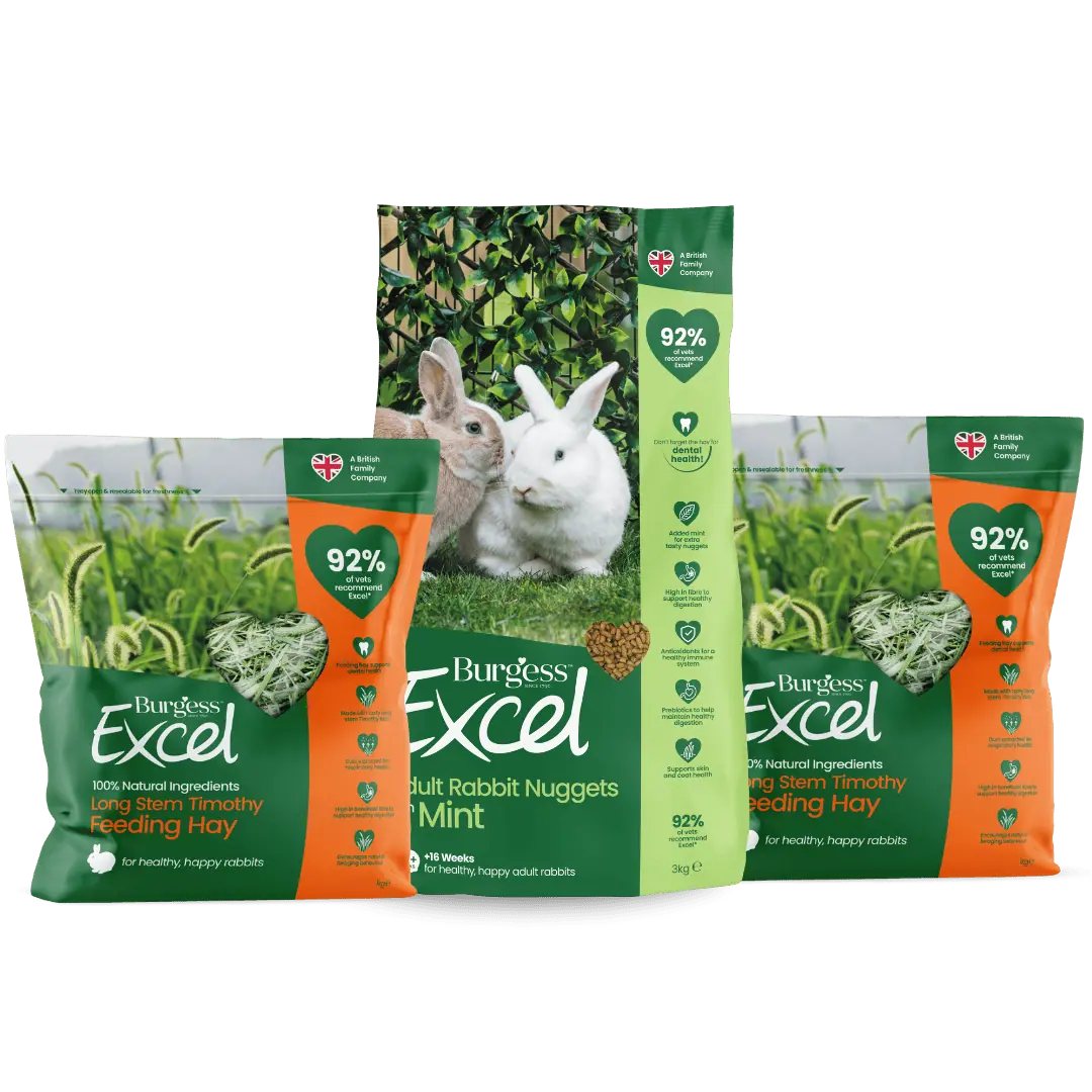 Excel Rabbit Nugget with Mint and Long Stem Hay Bundle product image