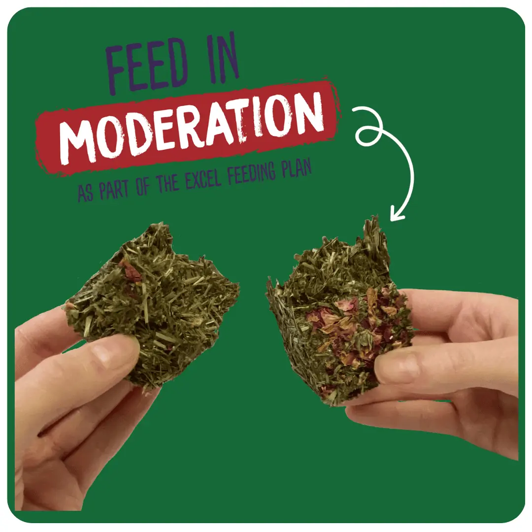 Forage – BYOB product image