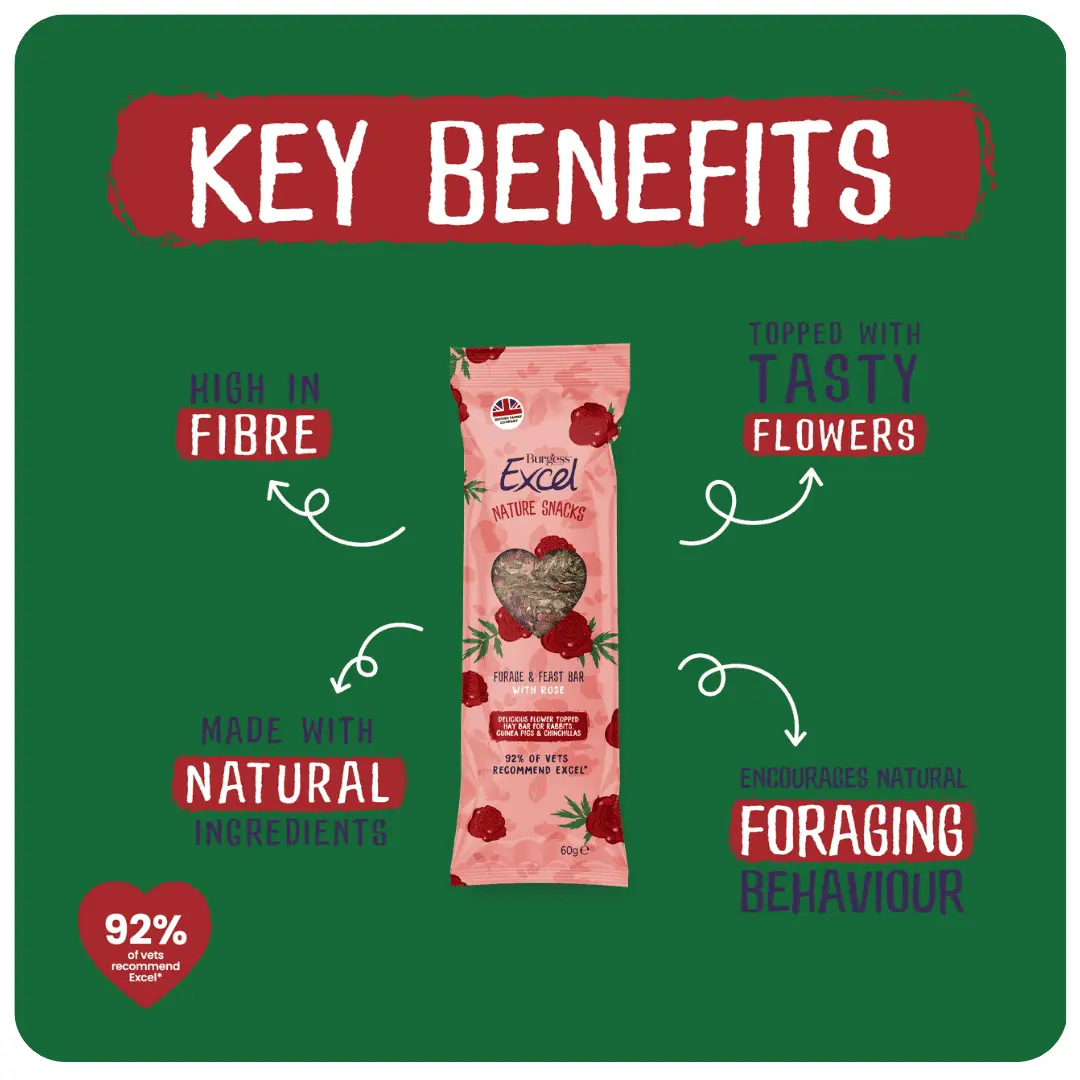 Forage – BYOB product image