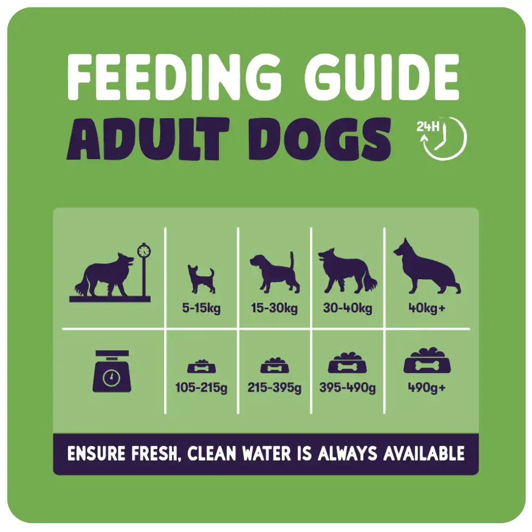 Sensitive Adult Dog Salmon 2kg product image