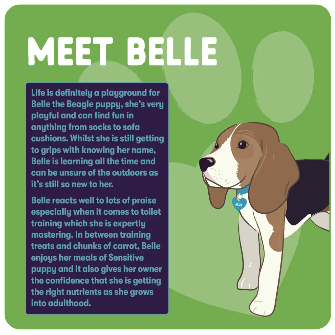 Sensitive Puppy Food product image