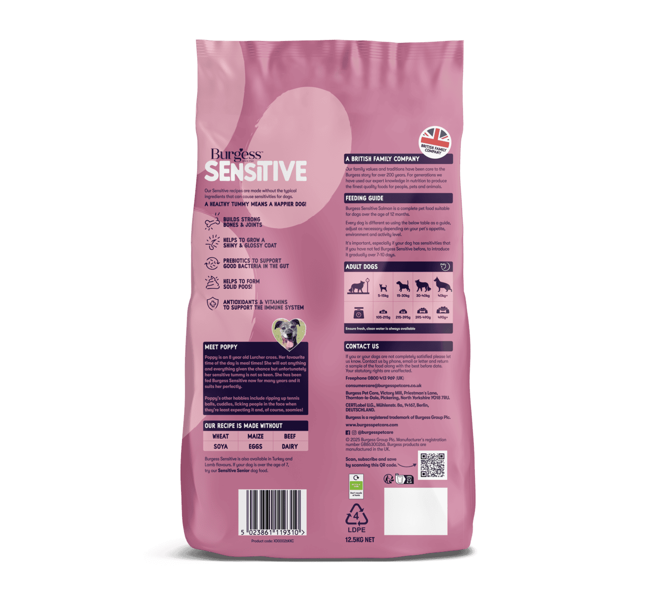 Sensitive Adult Dog Salmon product image