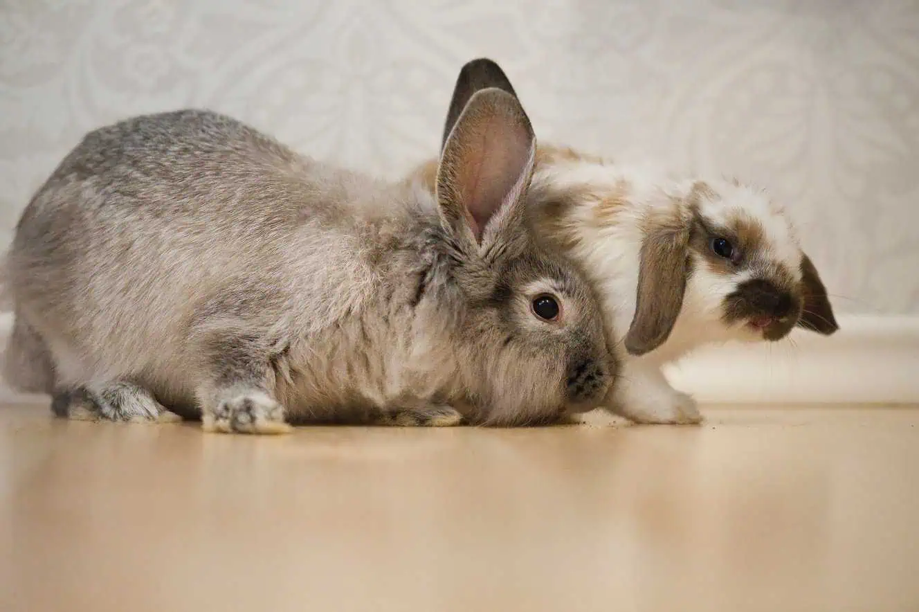 Featured image for Something scary?