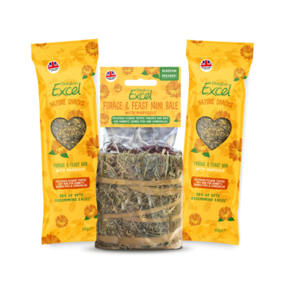 Product image for Excel Marigold Bundle