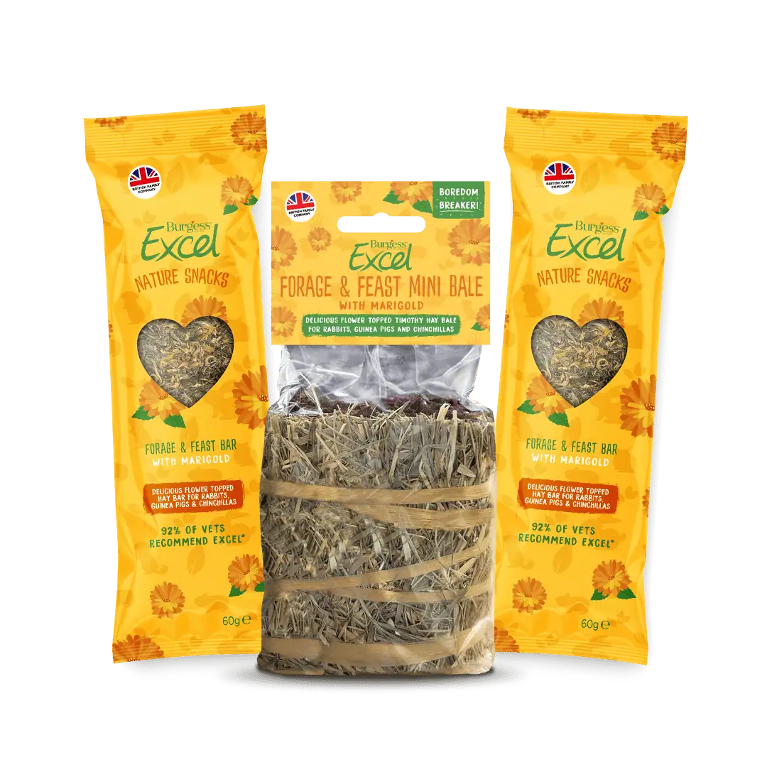 Excel Marigold Bundle product image