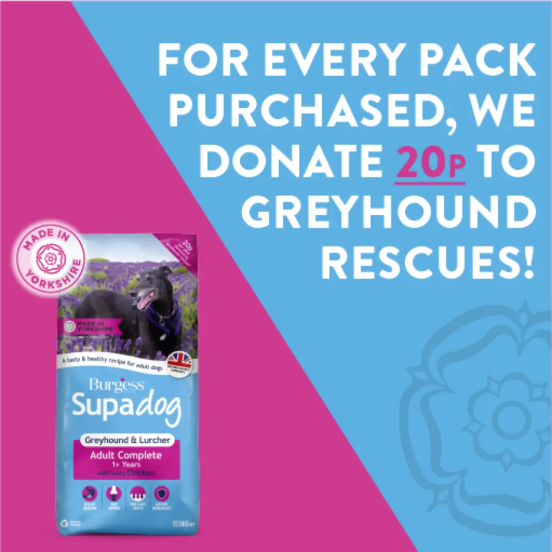 Supadog Greyhound & Lurcher with Chicken product image