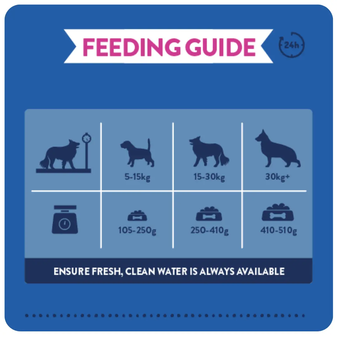 Supadog Greyhound & Lurcher with Chicken product image