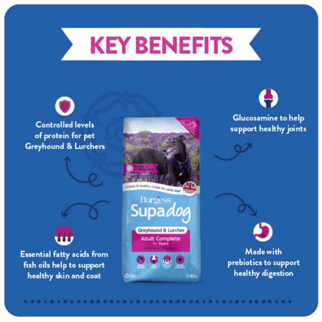 Supadog Greyhound & Lurcher with Chicken product image