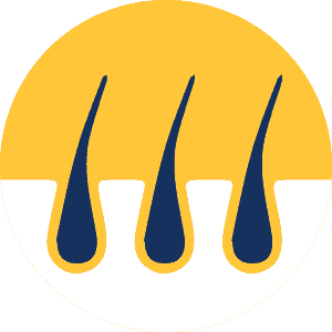 Healthy skin and coat*