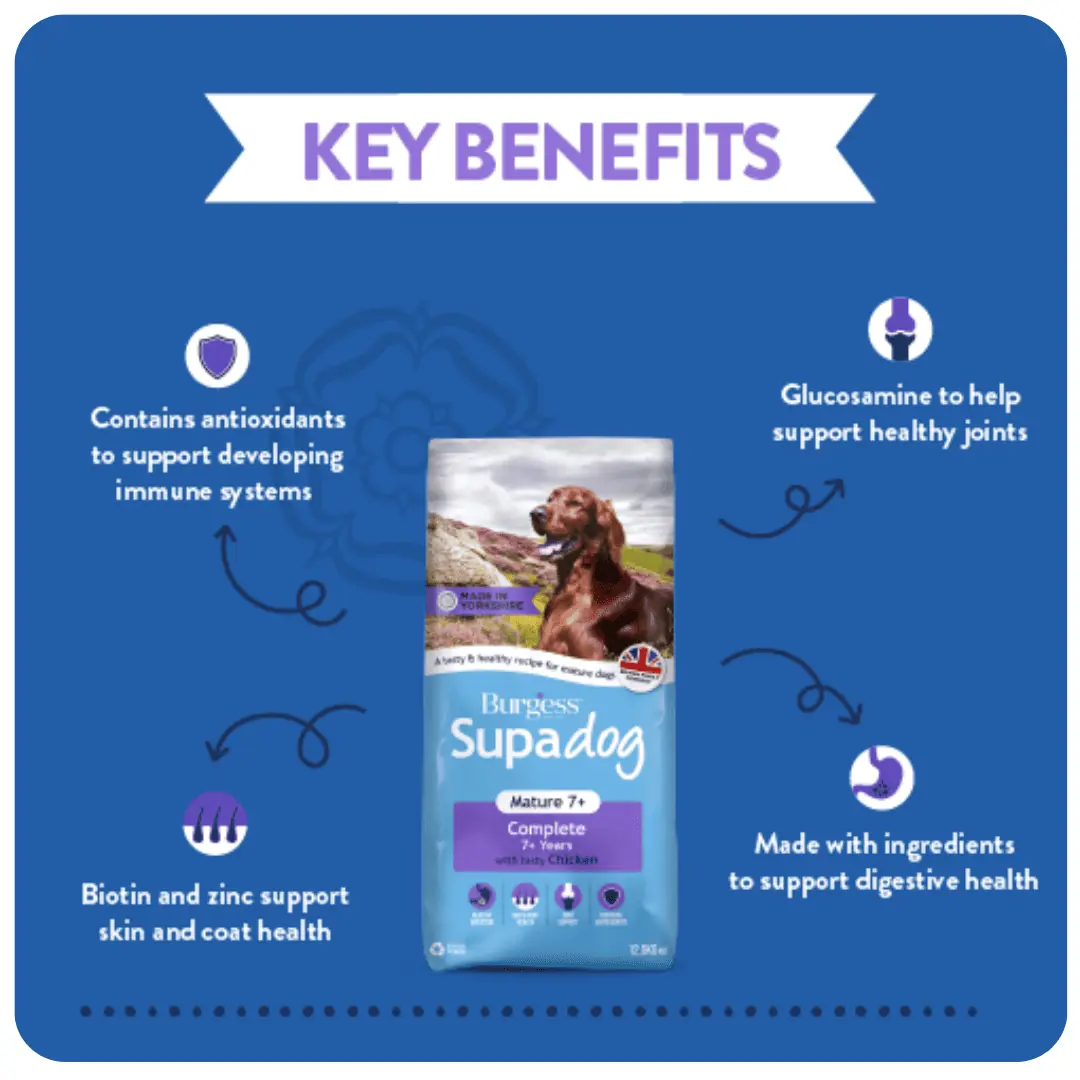 Supadog Mature Dog with Chicken product image