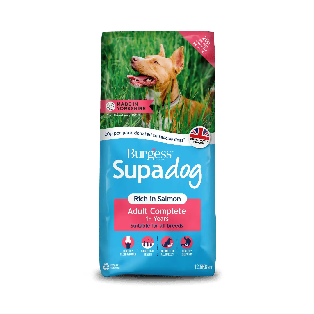 Supadog Adult Rich in Salmon product image