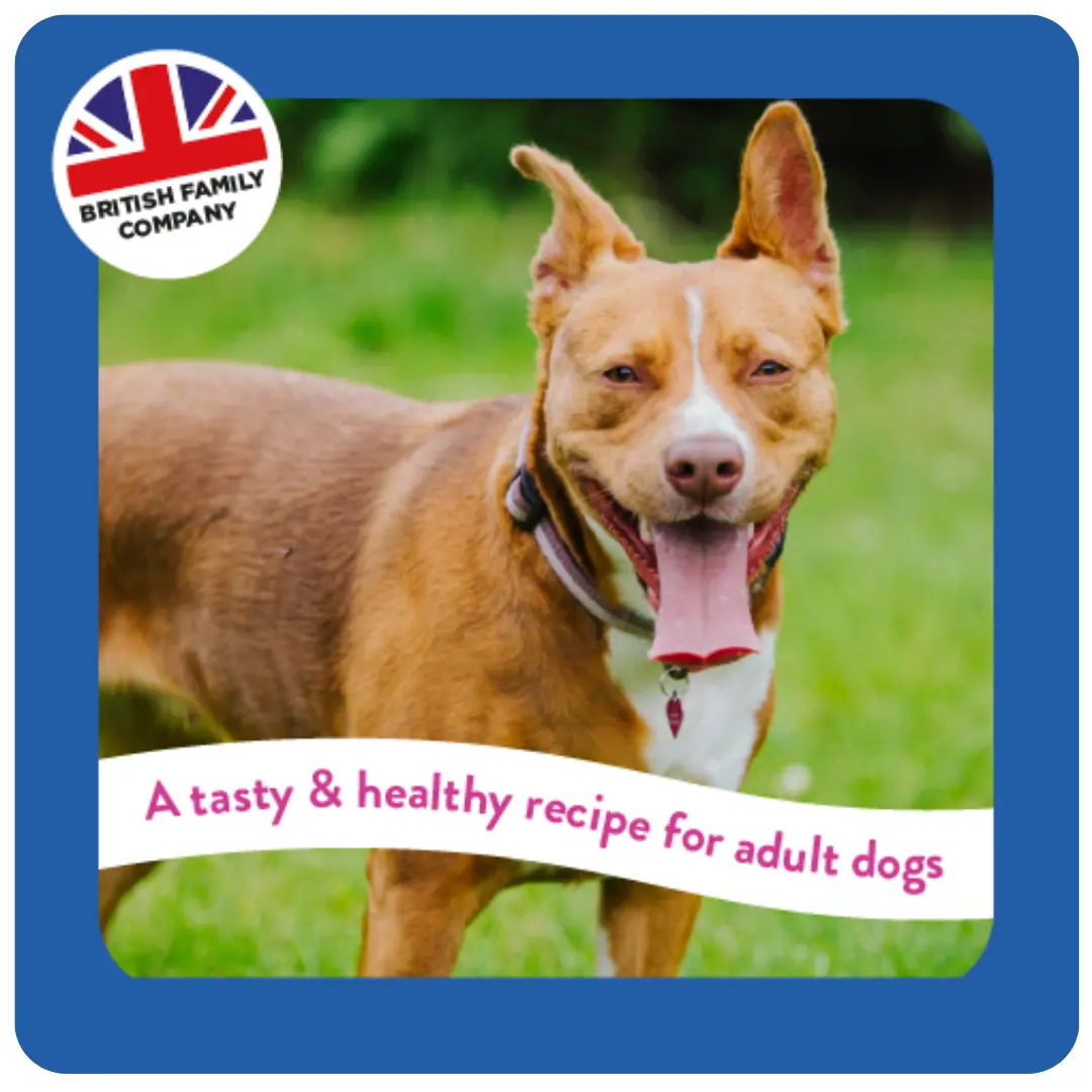 Supadog Adult Rich in Salmon product image