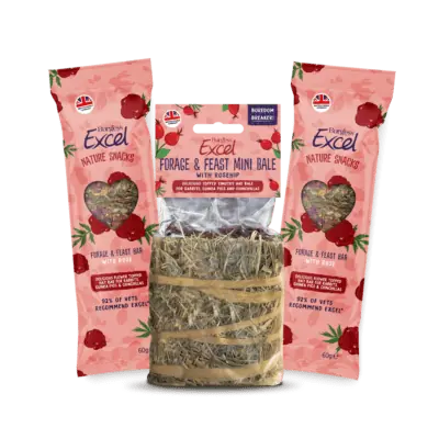 Product image for Excel Rose Bundle