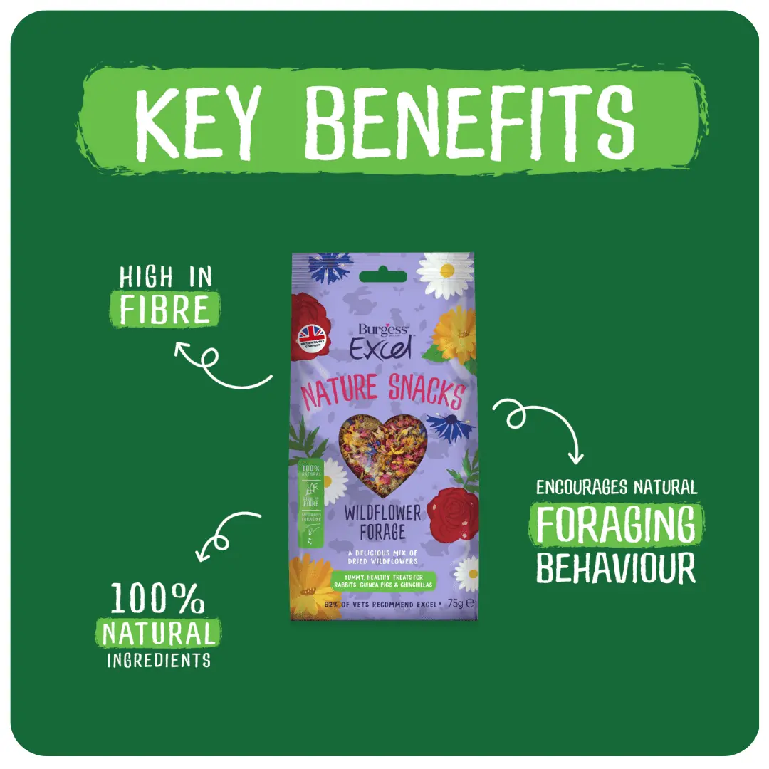 Excel Wildflower Forage Mix product image